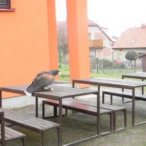 dscn3405.jpg