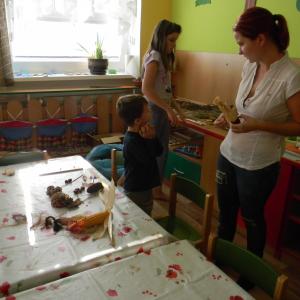 dscn3486.jpg