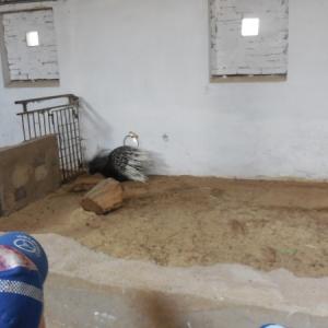 dscn1528.jpg