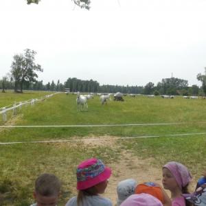 dscn1542.jpg