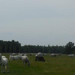 dscn1543.jpg
