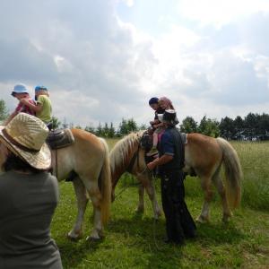 dscn3850.jpg