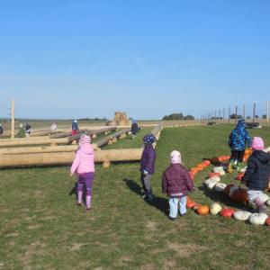 dscn1631.jpg