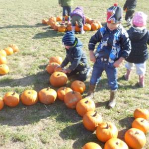 dscn1635.jpg