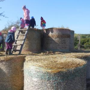 dscn1636.jpg