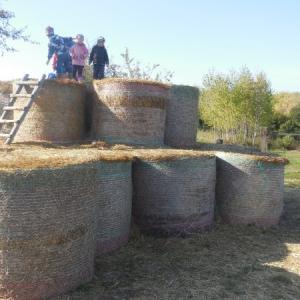 dscn1637.jpg