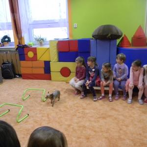 dscn4068.jpg