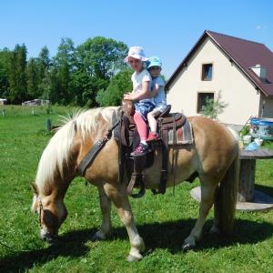 dscn1936.jpg