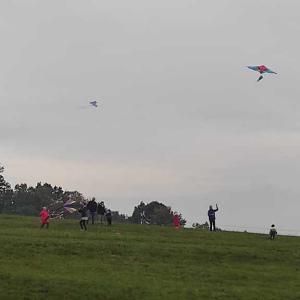 img-20231024-wa0019.jpg